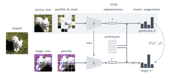 Masked Siamese Networks